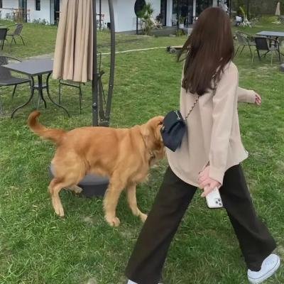 心灵围篱